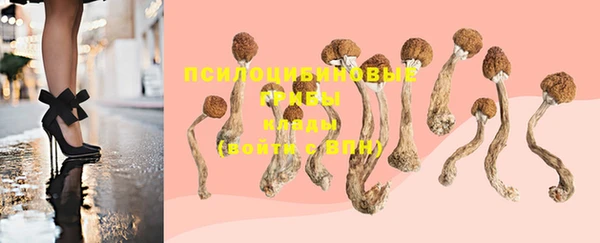 mdma Каменка
