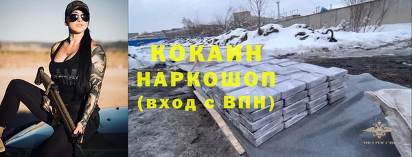 МДПВ Каменногорск