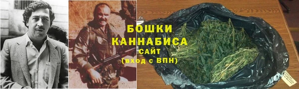 МДПВ Каменногорск